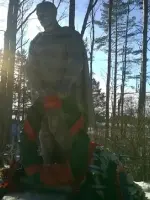 Братское захоронение времен Великой Отечественной войны п. Лыкошино, Россия, Р-8