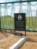 Могила Евгения Петровича Гринько, Россия, Калужская область, Износковский район