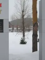 Памятник землякам, погибшим в боях за Родину в годы Великой Отечественной войны, улица Максима Горького
