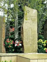 Памятник воинам-односельчанам, погибшим в Великой Отечественной войне, Московская область, с. Молоково, улица Ленина