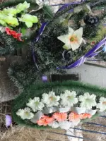 Памятник Татьяне Каменской, Россия, Калужская область, Износковский район