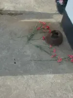 Никто не забыт, ничто не забыто, Сельское поселение Знаменское Каширского района