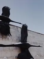 Невский Мемориал "Журавли", Дальневосточный проспект