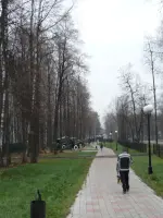 Парк Победы - Памятник труженикам тыла, Центральная улица
