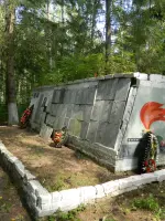 Воинское захоронение, Новгородская область, Р-48