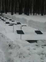 Мемориальное кладбище советских воинов, умерших от ран в госпиталях в Новосибирске, Заельцовское кладбище