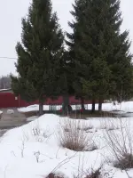 Обелиск в честь жителей деревни, Россия, Московская область, Чеховский район, деревня Булычёво