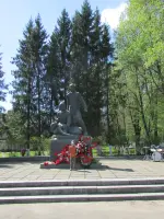 Памятник юным партизанам, Россия, Московская область, Волоколамский район, село Осташево
