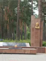 Памятник жителям поселка Сельцо, не вернувшимся с фронтов Великой Отечественной войны, Россия, Брянская область, Сельцо