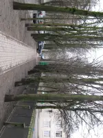 Постамент в честь воинов, погибших во время Великой Отечественной войны, Гражданский проспект