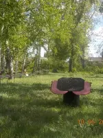 Памятник воинам-односельчанам, павшим в годы Великой Отечественной войны, Россия, Алтайский край, Тюменцевский район, поселок Королевский