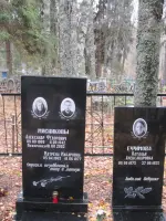 Могила лётчика, гвардии майора Мясникова Александра Фёдоровича, Россия, Новгородская область, Мошенской район, деревня Никифорово