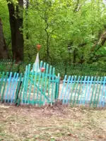 Захоронение неизвестных солдат в лесу Дибровка, Россия, Воронежская область, Ольховатский район, слобода Неровновка