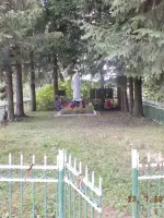 Кладбище советских воинов, Россия, Тверская область, Зубцовский район, деревня Аболешево