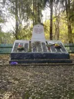 Обелиск в честь погибших земляков в Назимове, Россия, Псковская область, Новосокольнический район, деревня Назимово