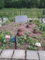 Братская могила воинов 20 армии Западного фронта, Россия, Смоленская область, Гагаринский район, деревня Петушки