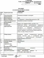 Памятник войнам погибшим в Великой Отечественной Войне в деревне Криулино, Россия, Московская область, Павлово-Посадский район, деревня Криулино