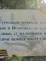 станция Набокино Старооскольского района Белгородской области, Россия, Белгородская область, городской округ Старооскольский, поселок Набокино