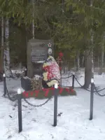 Долина Смерти, Можайский район, Московская область, Россия, Московская область, Можайский район, садовое товарищество Добрея