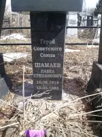 Бюст Героя Советского Союза П.С. Шамаева, Россия, Саратовская область, Петровский район