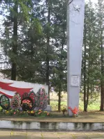 Обелиск «Односельчанам, павшим в боях за Родину в годы Великой Отечественной войны», Россия, Смоленская область, Вяземский район, деревня Поляново