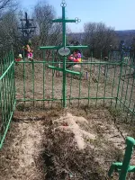 Воинское захоронение, Россия, Саратовская область, Аркадакский район, село Чиганак