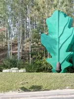 Листья дуба и лавра, шоссе Дорога Жизни