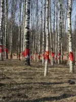 Мемориальный комплекс: «Цветок жизни», Аллея Дружбы и траурный курган «Дневник Тани Савичевой», А-128