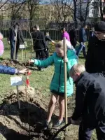 Аллея памяти лётчиков 29 ГВИАП, улица Летчика Пилютова