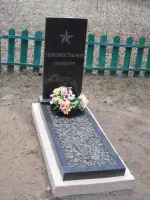 Памятник погибшим односельчанам, могила неизвестного солдата, Россия, Смоленская область, Руднянский район, деревня Карташевичи