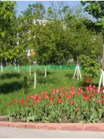 Аллея Славы, Россия, Московская область, Люберцы, микрорайон Городок "Б"