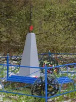 Памятник в деревне Каськово в лесу, Россия, Ленинградская область, Волосовский район, деревня Каськово