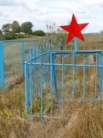 Братская могила неизвестных солдат - хутор Вишневка, Морозовский район, Ростовская область, Россия, Ростовская область, Морозовский район, хутор Вишневка