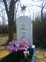 Братская могила – с. Пасюковка Кантемировского района Воронежской области, Россия, Воронежская область, Кантемировский район, село Пасюковка