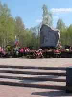 Братская могила № 9 243 советских воинов, погибших в боях с немецко-фашистскими захватчиками., Россия, Смоленская область, Руднянский район, деревня Распопы