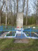 Деревня Вшели, Россия, Новгородская область, Солецкий район, деревня Вшели