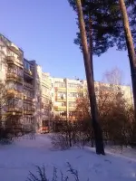 Улица М. И. Казамазова, Россия, Нижегородская область, Саров