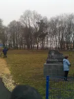 Памятник на братской могиле, Россия, Курская область, Курский район, село Лебяжье