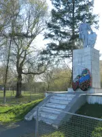 Братская могила, Россия, Курская область, Курский район, деревня Селиховы Дворы