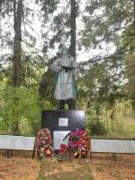Братская могила вблизи деревни Сотово Холмского района Новгородской области, Россия, Новгородская область, Холмский район, деревня Сотово