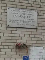 
        Улица пограничника <nobr>А. Д. Гарькавого</nobr>
      , Россия, Санкт-Петербург, Красносельский район