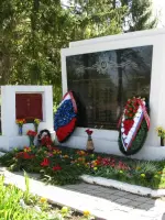 Памятник воинам, погибшим в годы Великой Отечественной войны 1941−45 гг., Россия, Московская область, городской округ Озёры, село Сосновка