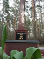 Братская могила № 492, Россия, Воронеж, микрорайон Краснолесный