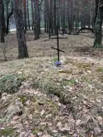 Воинское захоронение., Россия, Воронеж, Железнодорожный район